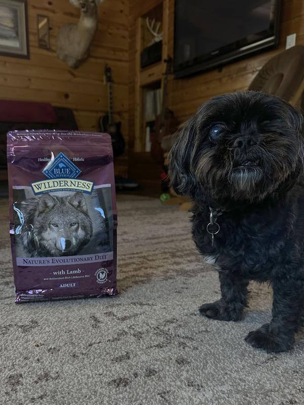 See how cute I am with my new food.