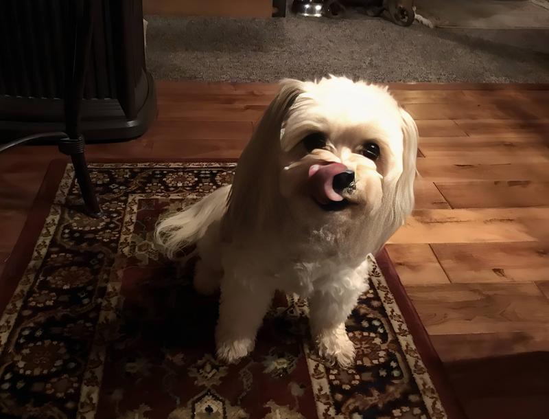 Hey! I wasn’t finished yet!