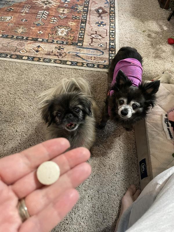 Size of pill