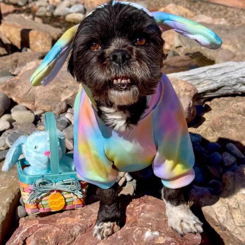 Some Bunny Loves You!