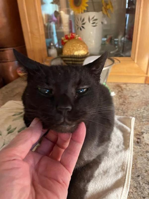 Tinkerbell 21 yr. just woke up