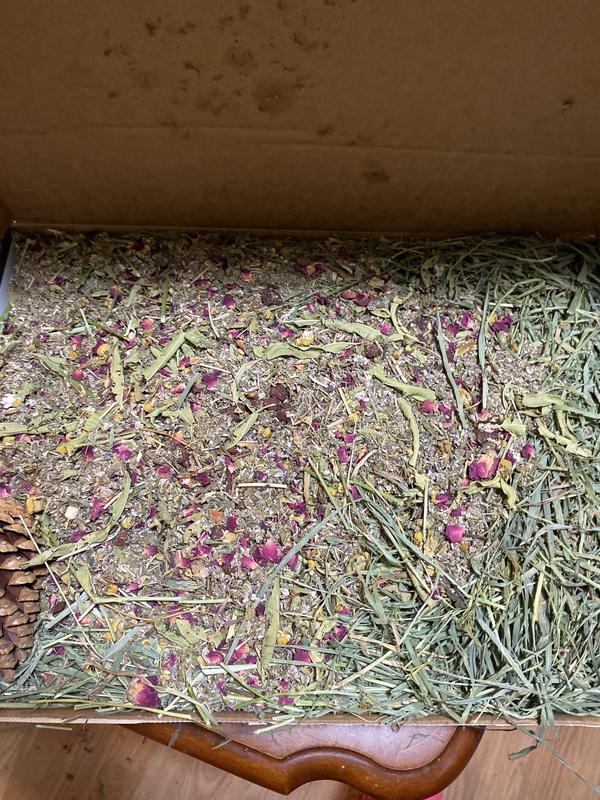 So many flowers and herbs!!