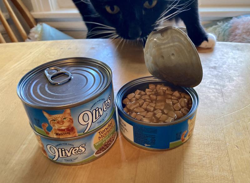 Violet is READY to eat.