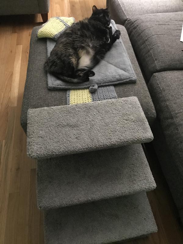 Sadie chilling on her favorite ottoman!