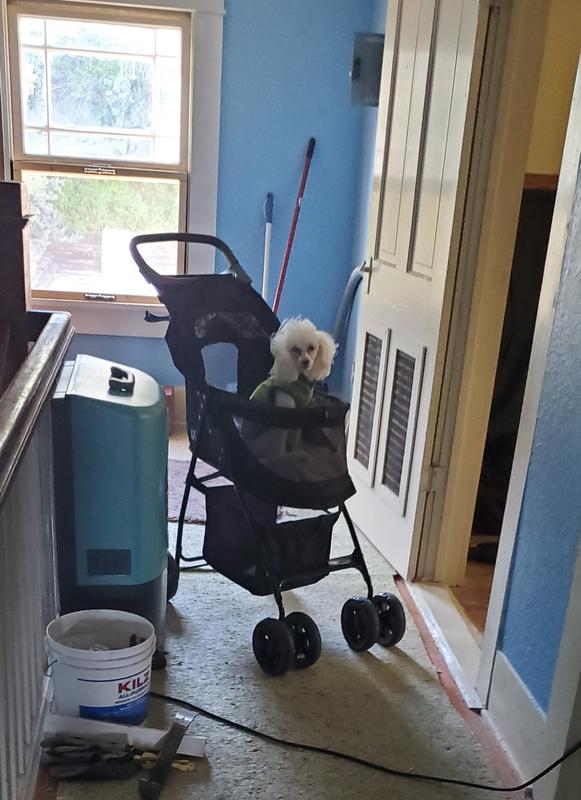 Supervising our remodel