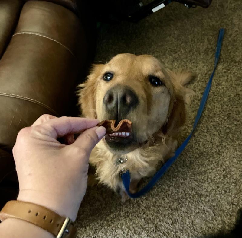 Tris is a golden retriever and she likes the bacon looking treats