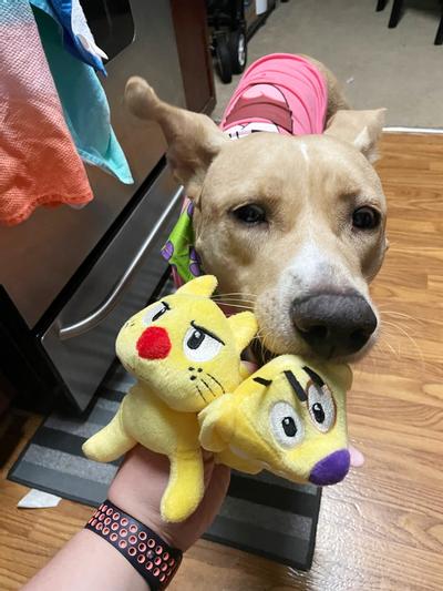 Catdog plush outlet toy