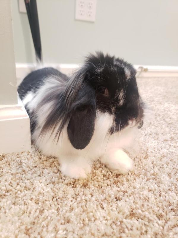 A striking resemblance, don't you think?