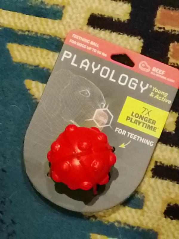 Great packaging. Looks very scientific. Brightly colored. Clearly labeled for teething so purchasers understand EXACTLY what they are buying. Picture of a big breed dog!