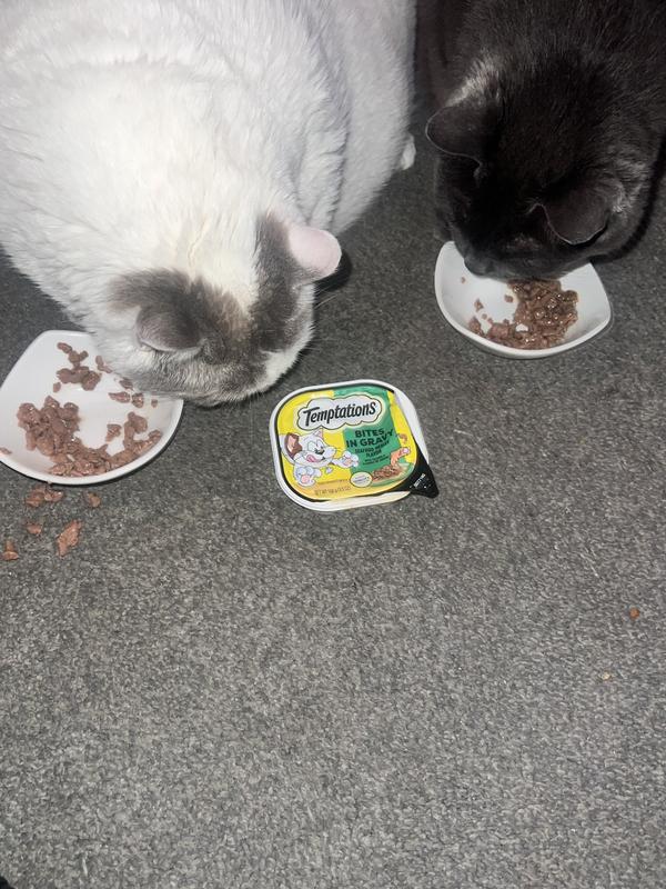 Happy kitties!!