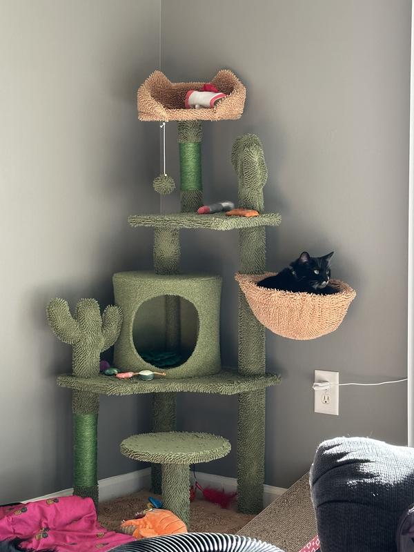 The basket is their favorite