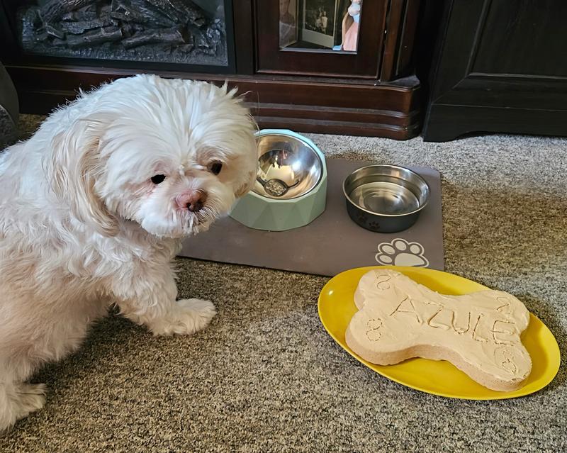 Azule and his 8th Bday Cake