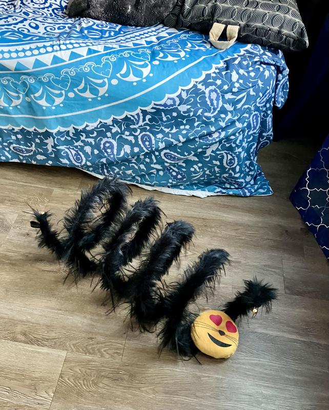 Nice big new cat toy