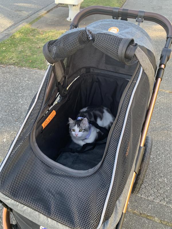 PLENTY of room (I don't normally have the zippered flap up, just did it so he could be seen)