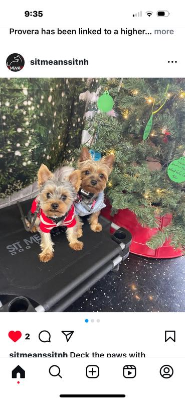 Graduated training school