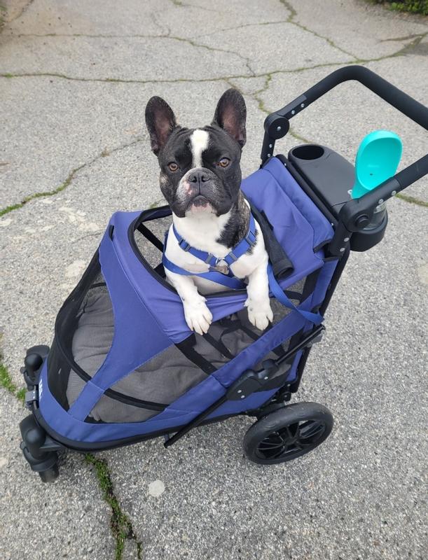 Pet gear excursion outlet stroller