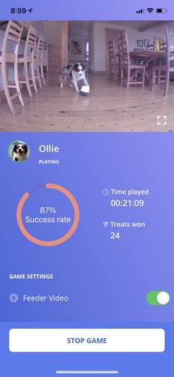 Watching Ollie play with mobile app