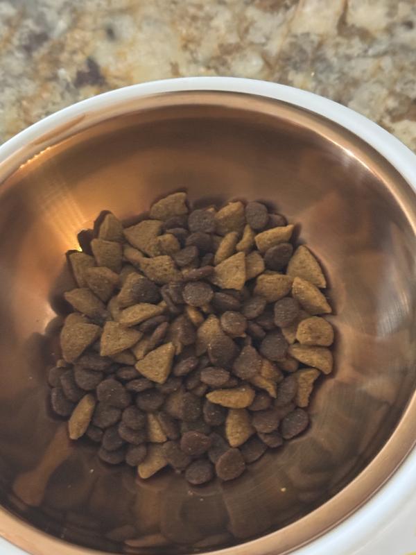 First picture of the dry dog food is what it looks like and how small the kibble is. Second picture is it mixed in with our dog’s normal dry food. Lucy couldn’t wait to try it along with our other dogs. They all approved!