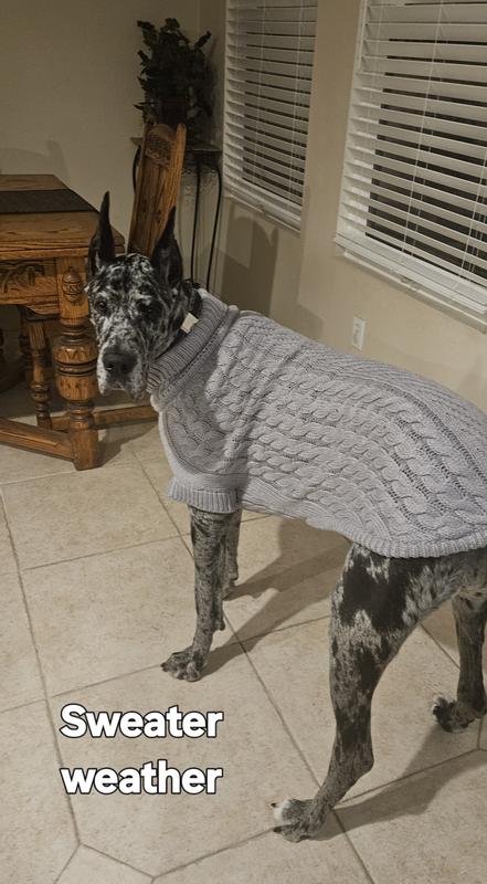 Rain ready for 48 degrees