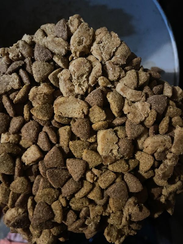 Up close pic, can tell it’s moisture.