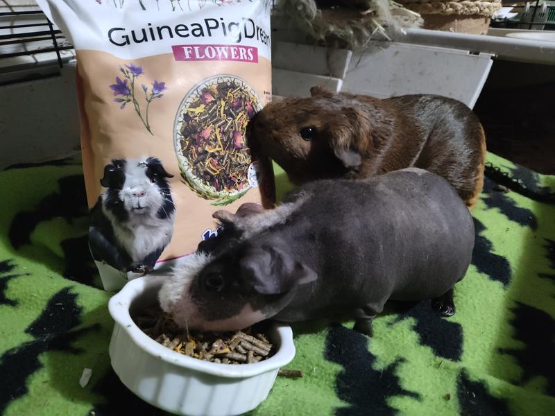 So, who is the brave one here?