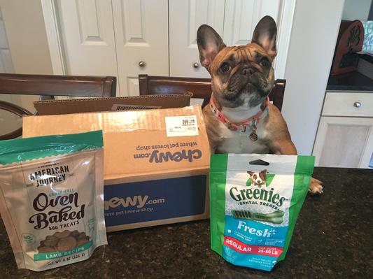 Lola_frenchie123