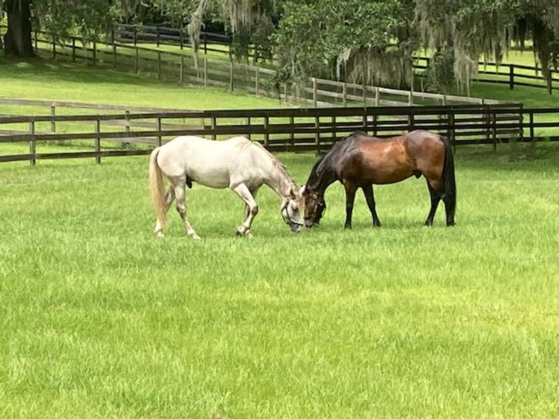 Healthy Muscles and Bodies!!