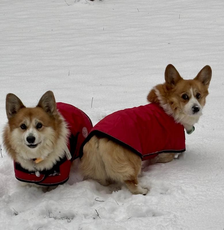 Warm and dry in the snow