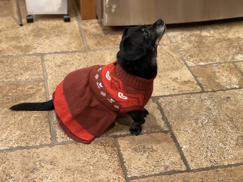 white christmas dresses Red Christmas Bow Sweater Dog Dress | Poshdoglife.com main image 0