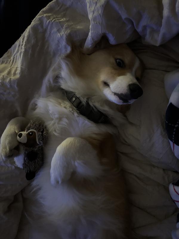 Finally nap time