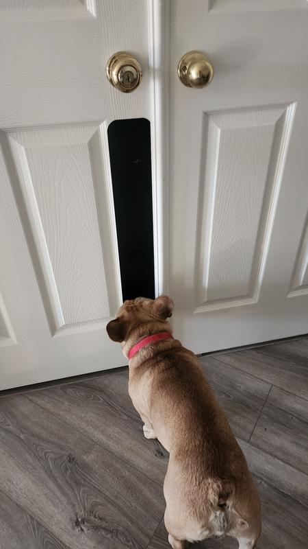 DECK THE DOOR DECOR Dog Scratch Door Protection Plate, Satin