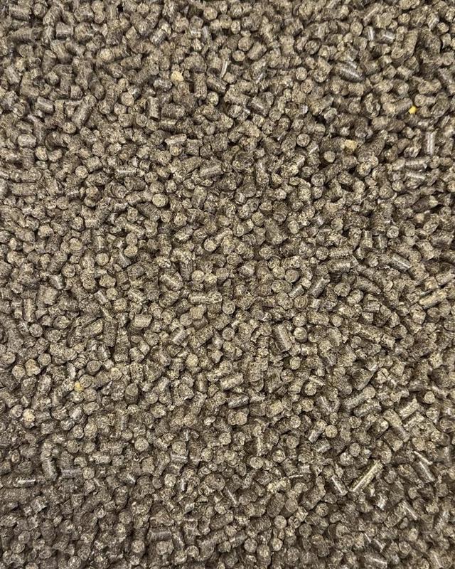 The sunflower pellets cat litter. So natural and easy to deal with.