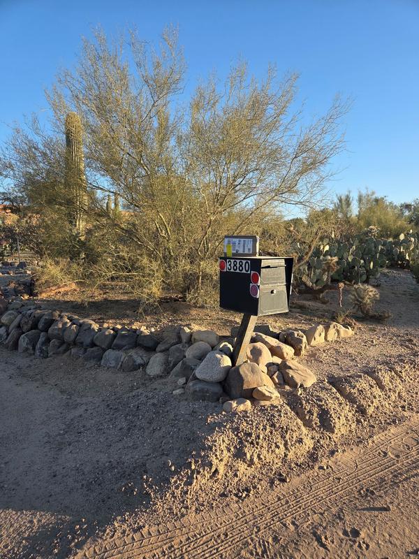 stupid delivery driver