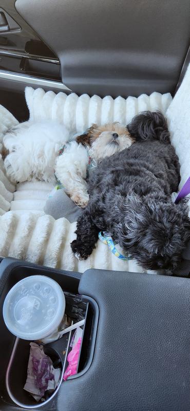 Emmilu and Rhody going for a ride with mom.