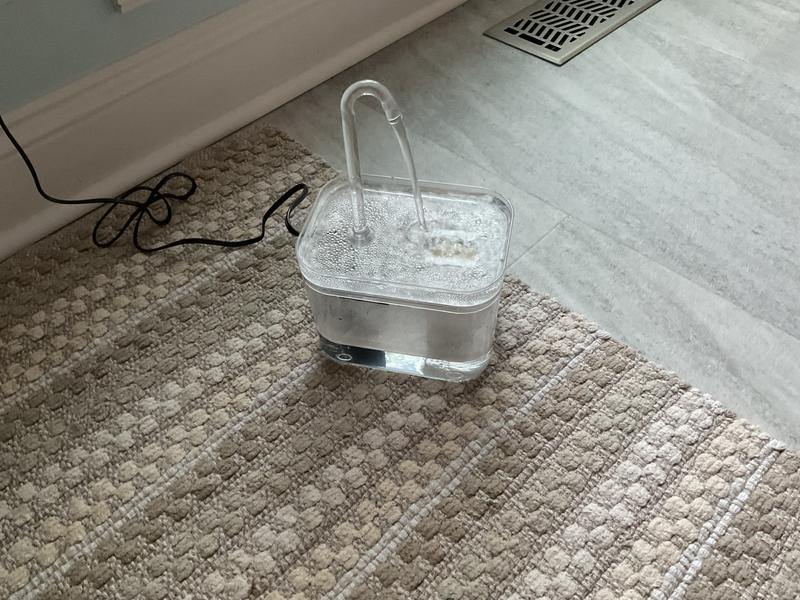 Fresh filtered water