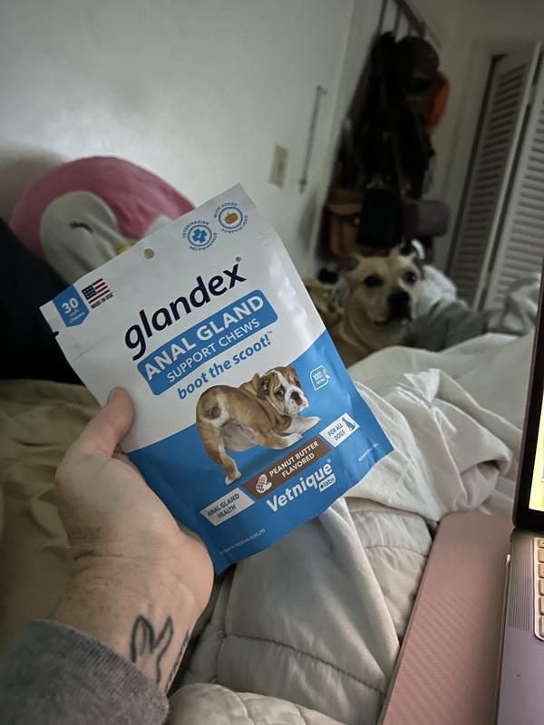 Glandex Anal Gland Support for Dogs - 120ct, Peanut Butter, exp 02/25, NEW  24606999957