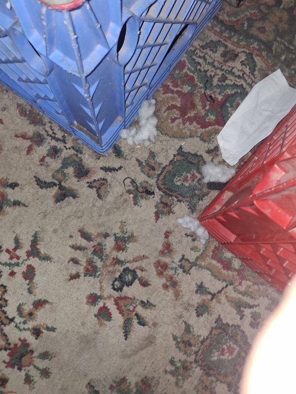 The chockable cotton