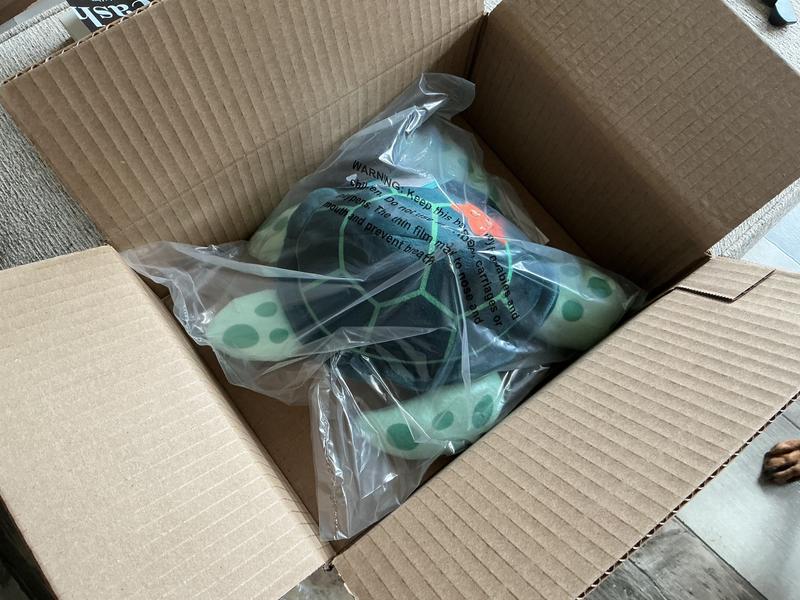 Arrived in the box