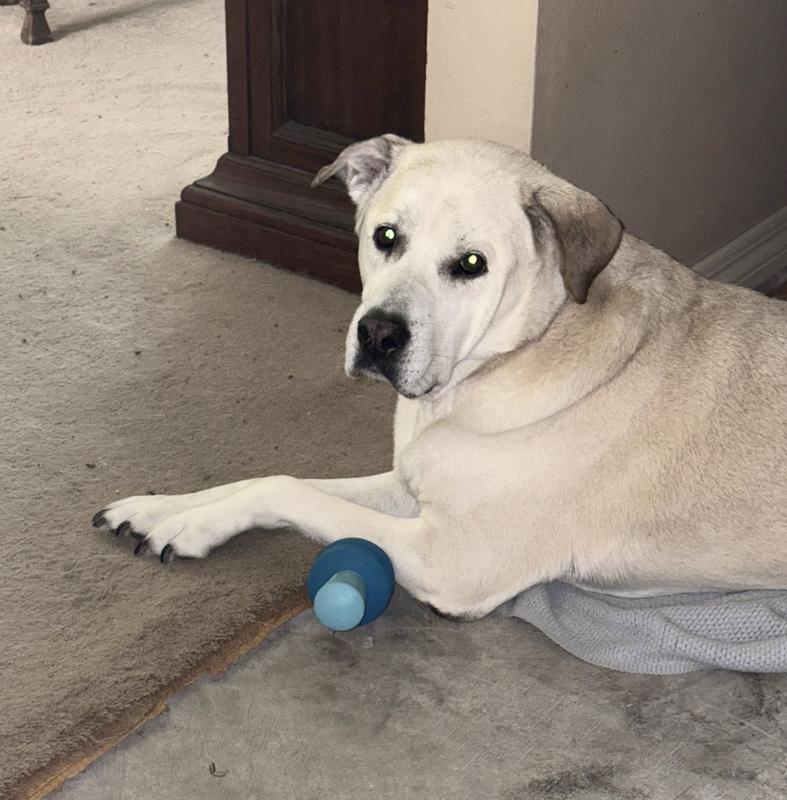 Not going to take my toy!