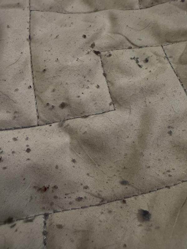 Crumbs after chewing