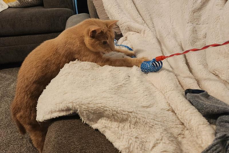 Hank had some fun !