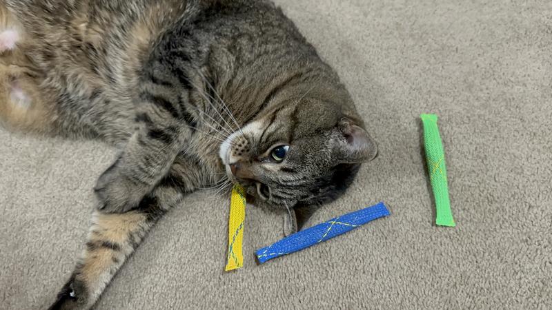 PIONEER PET Catnip Toy Nip Nibblers, 3 count - Chewy.com
