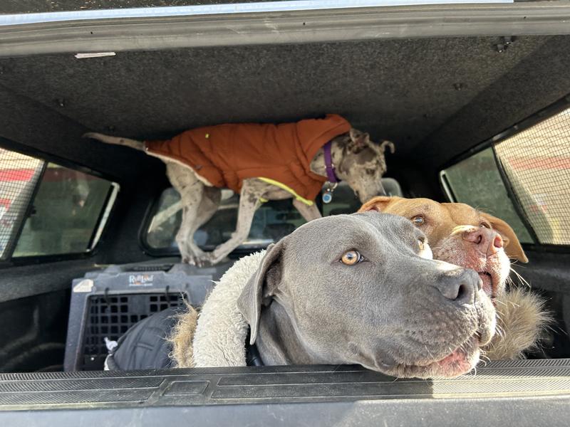 the other 2 below her are wearing the black GF's