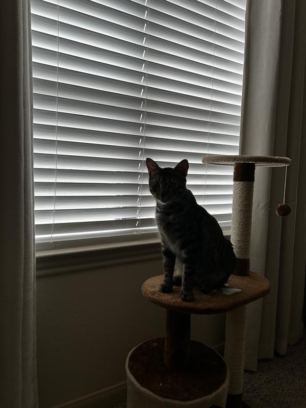 Let me see what’s goin on!