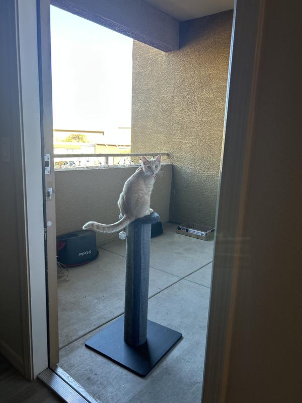 He is able to see the world from a safe space