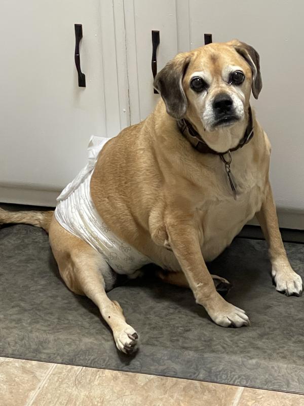 Rockin his male wrap