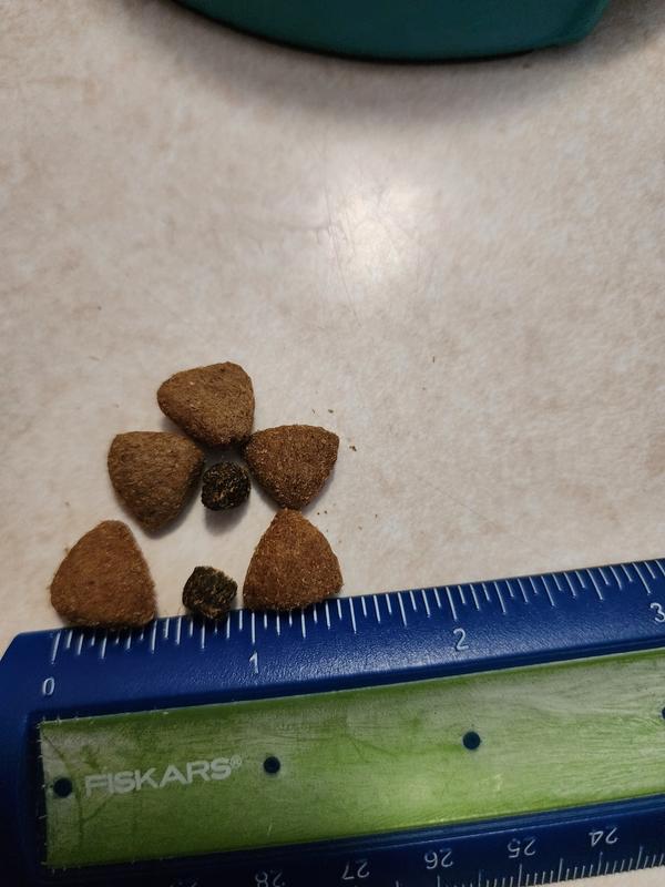 Size of the kibbles