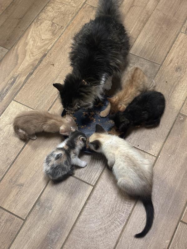 Nom nom nom...