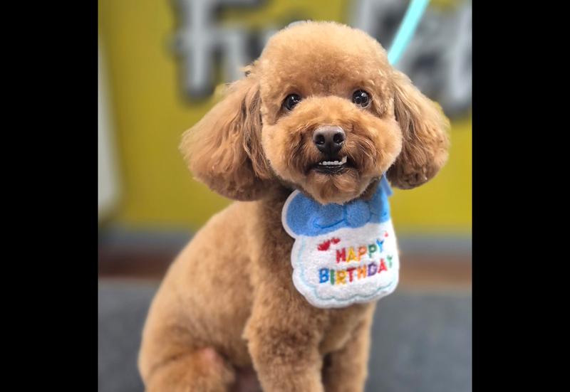 A happy 2 years old !