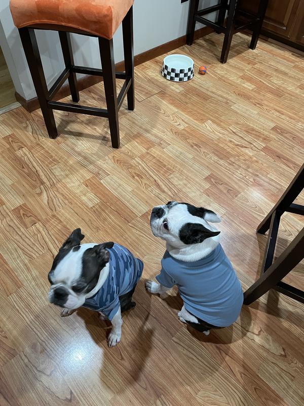 Looking fit and very handsome!